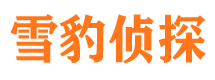 海勃湾侦探